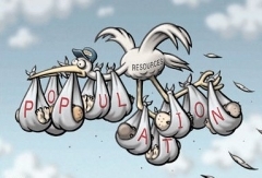 tarrier-cigogne-surpopulation.jpeg