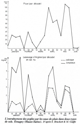 Fig.01_Entraînement-des-argiles-par-les-eaux-de-pluie-450.jpg