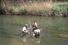 inventaire ichtyologique,doubs,besançon,jean verneaux,andré guyard,jean-pierre grandmottet,dess eaux continentales