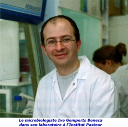 2-Ivo-Gomperts-Boneca-450.jpg
