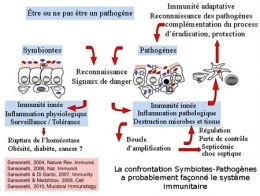 Sansonetti-microbiote-intestinal-450.jpg