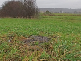 Thise-effluents_091.jpg