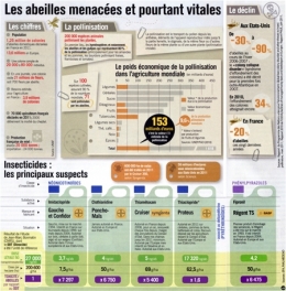 abeilles,cruiser osr,pesticides,mortalité des abeilles