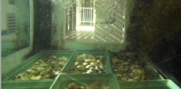 poissons,rivière,pêche,doubs,rhône,loue,durance,ardèche,drôme