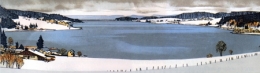 lacs,jura,limnologie,poissons,lac de saint-point,lac de remoray,lac de chalain,lac d'ilay,lac de la motte,lac du petit-maclu,lac du grand-maclu,lac de bonlieu,lacs de clairvaux les lacs