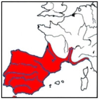 reptiles,sauriens,lacertidés,lézard ocellé