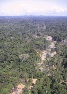 environnement,pollution,guyane,orpaillage