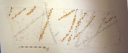 Paleomania_08_06_22_99pisteD.jpg