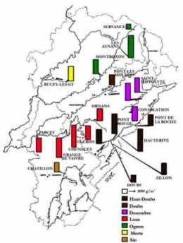 proliférations_algales_109-1.jpg