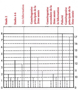 Fig_G1-1.jpg