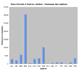 LFNM-poids_d+m1.jpg