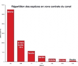 Espèces-canal_ZC-1.jpg