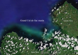 01Gd_Cul_de_Sac1-1.jpg