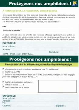 amphibiens,amphibiens de france,aspas