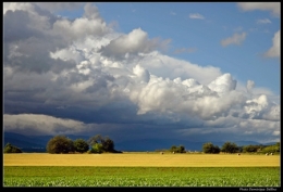 Plateau-Brognard-450.jpg