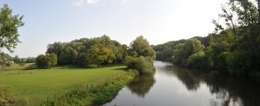 poissons,allan,doubs,franche-comté,canal à grand gabarit,pêche