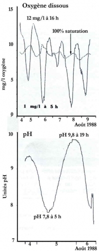 proliférations_algales_11-11.jpg