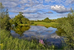 pêche,poissons,allan,doubs,canal à grand gabarit,habitats,montbéliard,pays de montbéliard