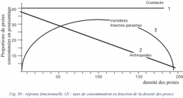 prédation-loup-fig5b-1.jpg