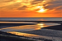 Baie-de-Somme-Delfino-450.jpg