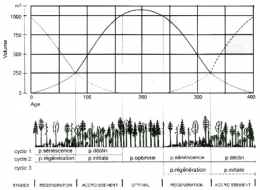 thise,forêt de thise,forestologie,sylviculture,jura,hêtre,chêne,office national des forêts,écologie forestière