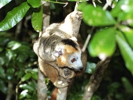 Madagascar_039-1.jpg