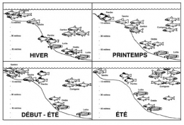 figure2_structure-spatiale-peuplement-450.jpg