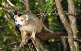 Madagascar_045-1.jpg