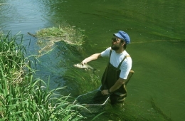 pêche-électrique_018-1.jpg