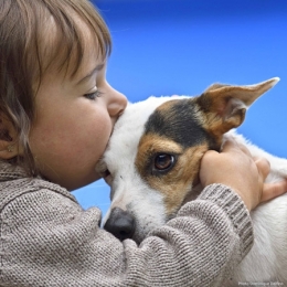 Câlin,-tendresse-450.jpg