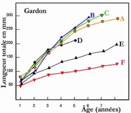 lacs_Gardon_croissance009-1.jpg