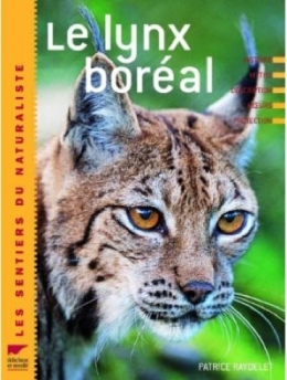 lynx,jura,franche-comté,raydelet,biodiversité,prédateurs,loup-cervier,felis lynx