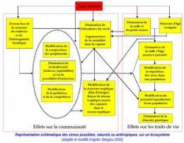 poissons d'eau douce,pathologie des poissons