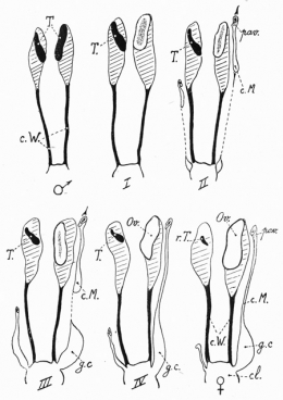 fig-13-450.jpg