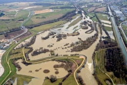 dominique delfino,inondation,zones humides