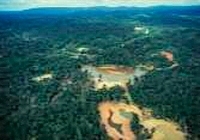 environnement,pollution,guyane,orpaillage