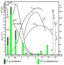 Figure 10-450.jpg