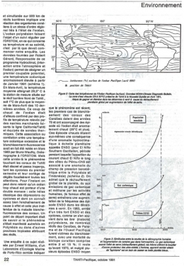 coraux,antilles,cnidaires,anthozoaires,scléractiniaires,madrépores,récif corallien,caraïbe