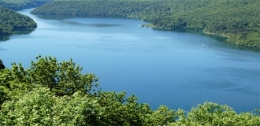 poissons lacustres,échantillonnage ichtyologique,comparaison d'échantillons,retenue de barrage,échantillonnage,lac de vouglans,retenue de vouglans