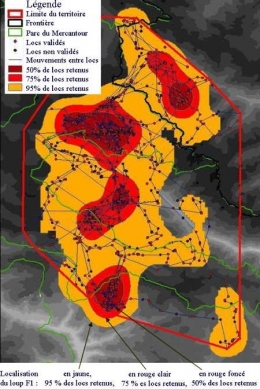 Loup-déplacements-gps-1.jpg