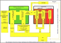 thise,forêt de thise,forestologie,sylviculture,jura,hêtre,chêne,office national des forêts,écologie forestière