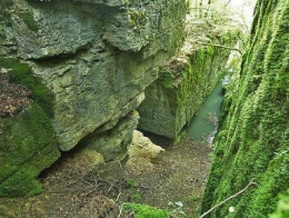 Cottet_7239_Saône_fosse en eaux moyennes1.jpg