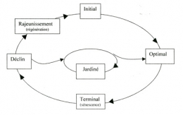 thise,forêt de thise,forestologie,sylviculture,jura,hêtre,chêne,office national des forêts,écologie forestière