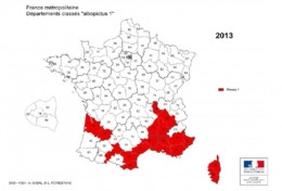 moustique-tigre,aedes albopictus,dengue,chikungunya,zika,hugo jalinière,sciences et avenir