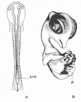 Fig-6-450.jpg