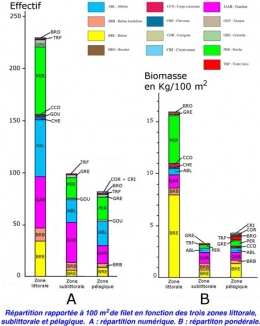 poissons lacustres,échantillonnage,lac de vouglans,retenue de vouglans,échantillonnage ichtyologique,comparaison d'échantillons,retenue de barrage