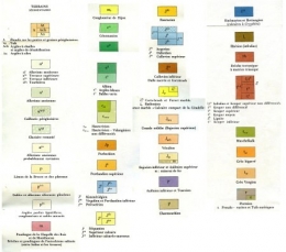 Légende_Carte géologique1.jpg