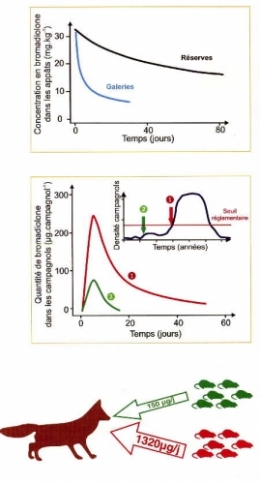 06campagnol-bromadiolone transfert chaînes alimentaires117.jpg
