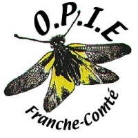 sauterelles,grillons,criquets,orthoptères,franche-comté