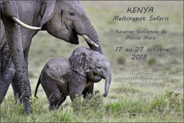 KENYA-2018-450.jpg